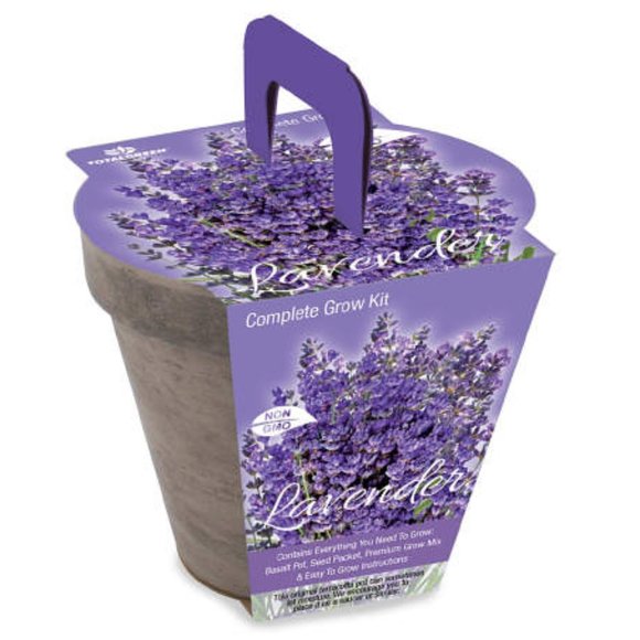 NWT Totalgreen Lavender Grow Kit - Picture 2 of 2
